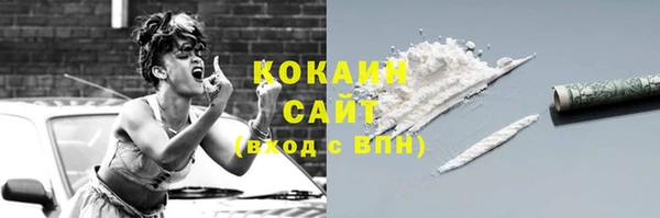 PSILOCYBIN Кулебаки