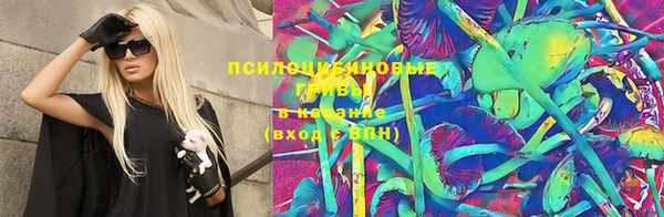 PSILOCYBIN Кулебаки