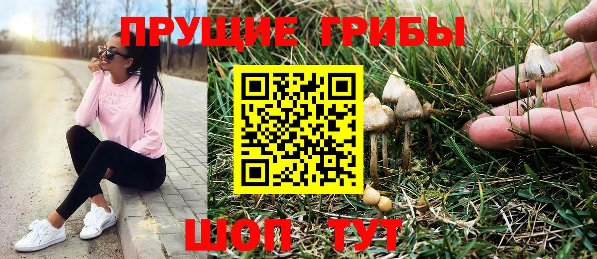 Галлюциногенные грибы Cubensis  Вход с VPN  Мыски  Галлюциногенные грибы GOLDEN TEACHER 